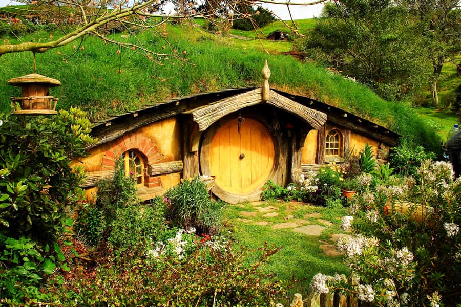 From Auckland: Hobbiton & Rotorua Tour with Lunch at Te Puia - The road home, or a practical finish in Rotorua
