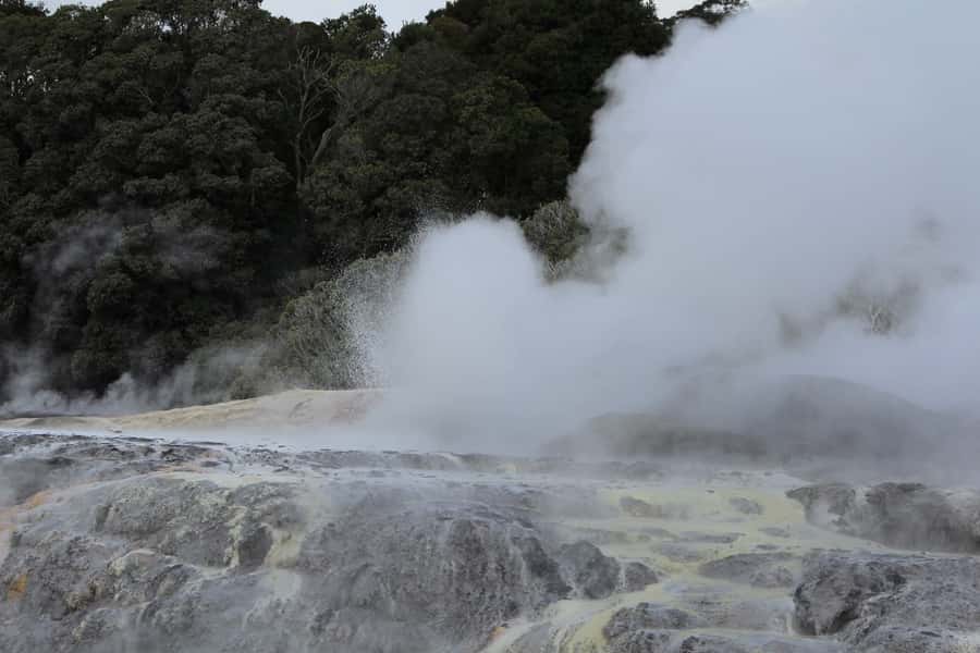 From Auckland: Hobbiton & Rotorua Tour with Lunch at Te Puia - Who will enjoy this day most?