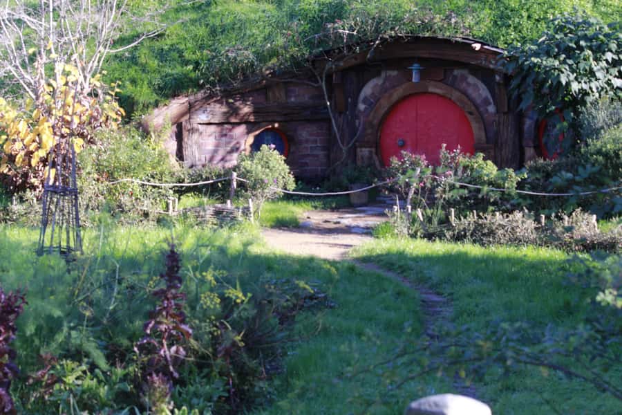 From Auckland: Hobbiton & Rotorua Tour with Lunch at Te Puia - Practical tips for a smoother day