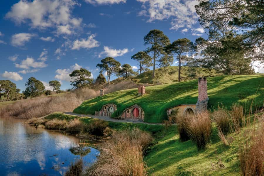 From Auckland: Hobbiton & Waitomo Caves Full-Day Trip - Why the guide can make or break the day