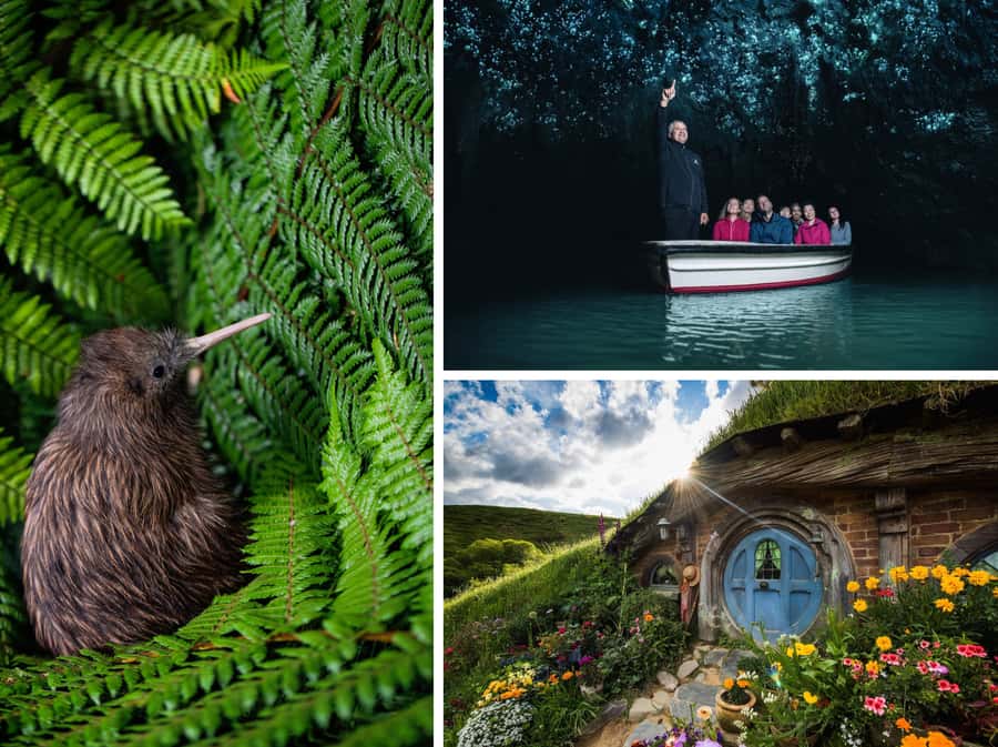 From Auckland: Hobbiton, Waitomo Caves & Kiwi House Tour - Leaving Auckland for the Waikato