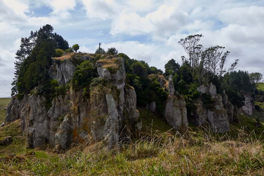 From Auckland or Rotorua: Hobbiton & Waitomo Tour with Lunch - Who gets the best value from the $286 price