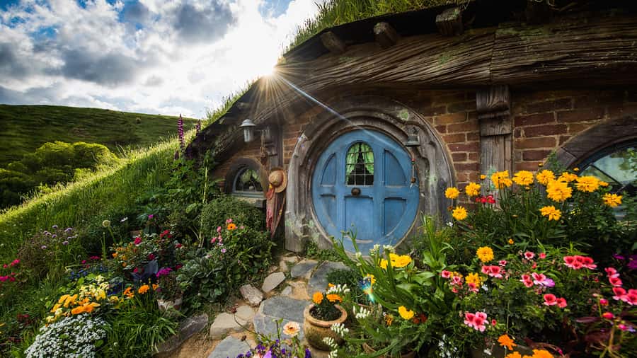 From: Auckland: Rotorua via Hobbiton Tour One Way Tour - The early Auckland pickup and the ride south