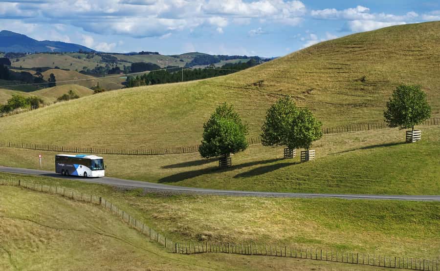 From Auckland: Waitomo & Hobbiton Bus Tour with Lunch - Who will enjoy this day trip most?