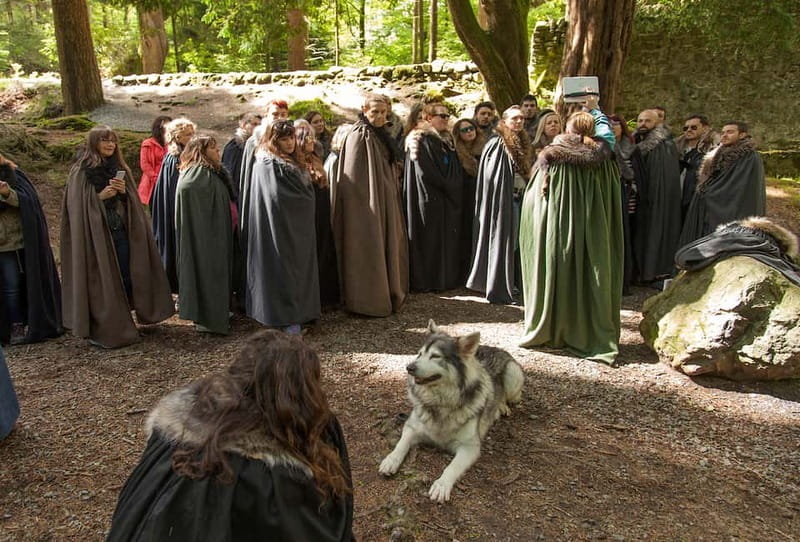 From Belfast: Game of Thrones Winterfell Locations Tour - What the guide adds to the day