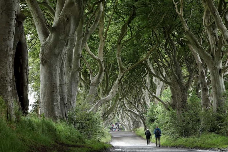 From Belfast: Giant's Causeway and Game of Thrones Tour - Why this Antrim Coast route works so well