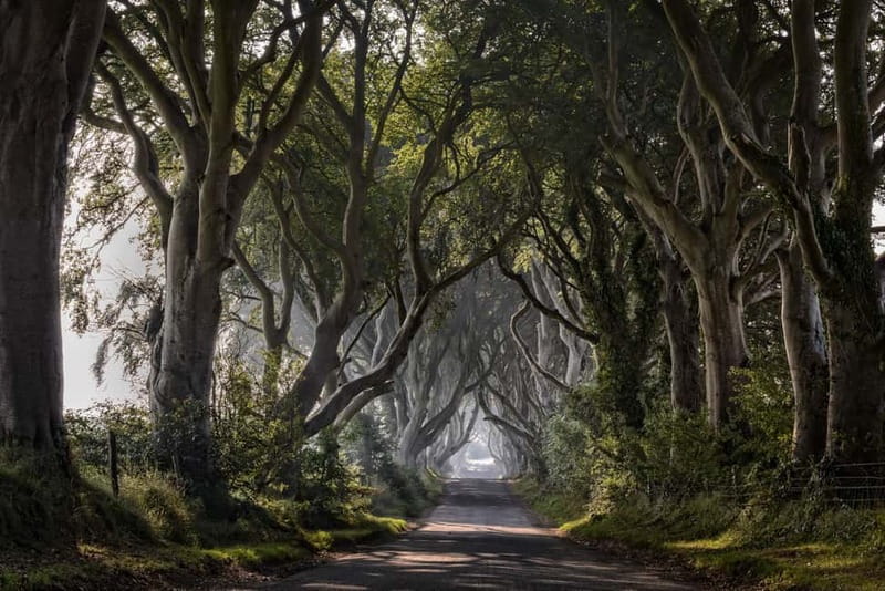 From Belfast: Giant's Causeway and Game of Thrones Tour - Ballintoy Harbour and Sandy Bay Cave
