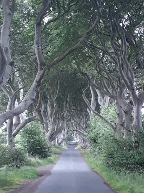 From Belfast: The Giant's Causeway & Game of Thrones Tour - Key points to know before you book