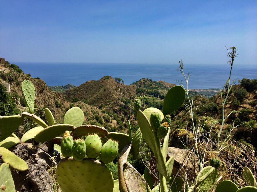 From Catania: The Godfather Movie Day Trip in Sicily - Forza d’Agrò and the village streets