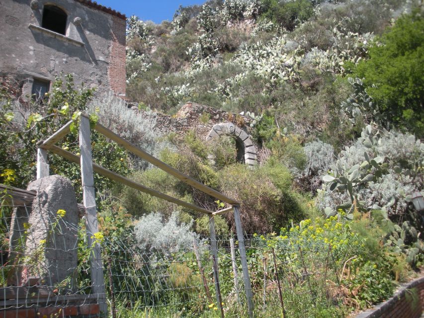 From Catania: The Godfather Movie Day Trip in Sicily - Guides who add more than movie trivia