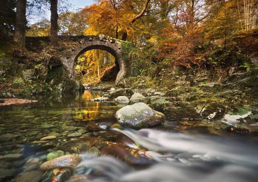 From Dublin: Game of Thrones Winterfell Locations Tour - Tollymore Forest and the direwolf trail