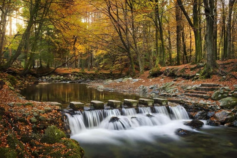 From Newcastle: Game of Thrones Tollymore Forest Trek - The opening prologue and the wildling pit