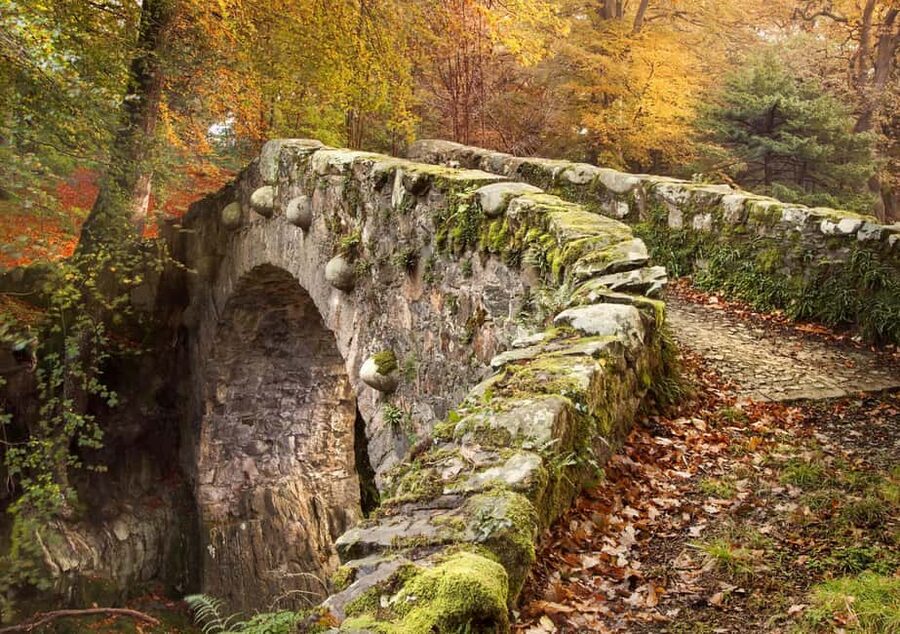 From Newcastle: Game of Thrones Tollymore Forest Trek - Group size, timing, and the main drawback
