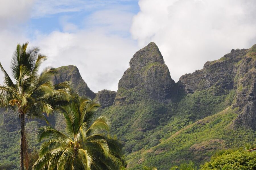 From Oahu: Kauai Highlights & Movie Sites - What this Kauai day trip is really designed to do