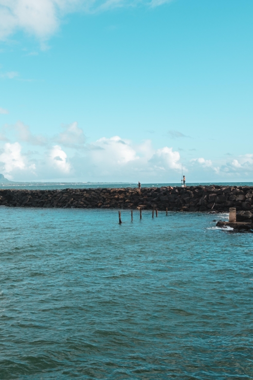 From Oahu: Kauai Highlights & Movie Sites - Opaeka‘a Falls: a strong first stop