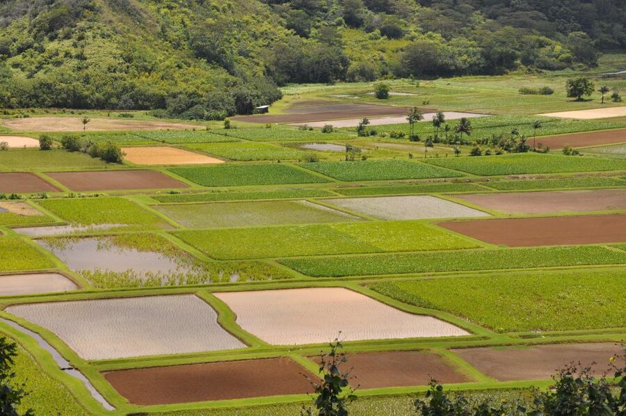 From Oahu: Kauai Highlights & Movie Sites - How the movie-site angle fits the day