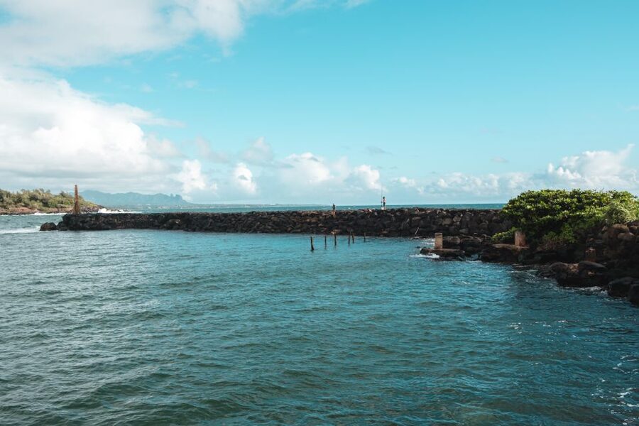 From Oahu: Kauai Highlights & Movie Sites - Honolulu Airport: start early and keep your bags light