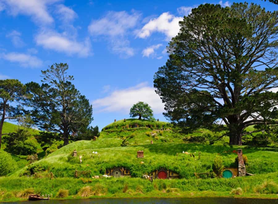 From Rotorua: Hobbiton Movie Set Tour with Festive Lunch - Why Hobbiton Feels More Real Than a Film Backdrop
