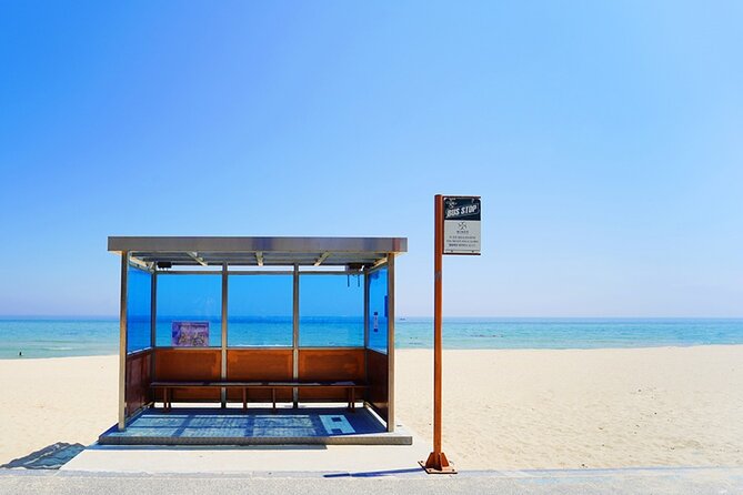 Full Day Tour In The Soop BTS Ver in PyeongChang Filming Location - The bus stop at Hyangho Beach