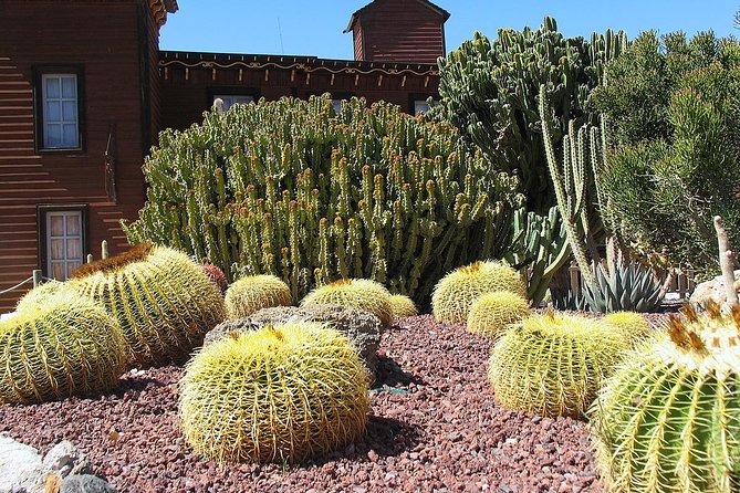 Full-Day Western Theme Park Tour of Mini Hollywood - Oasys - Pools, slides, and a break from the heat