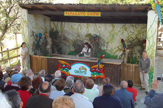 Full-Day Western Theme Park Tour of Mini Hollywood - Oasys - The zoo gives the day a second focus
