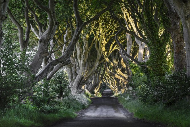 Game of Thrones and Giant's Causeway Full-Day Tour from Belfast - Leaving Belfast at 8:30 a.m.