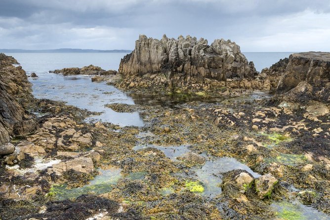 Game of Thrones and Giant's Causeway Full-Day Tour from Belfast - Carrickfergus Castle, a quick medieval opening