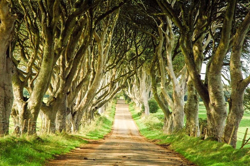 Game of Thrones & Giant's Causeway: Guided Tour from Belfast - Food, breaks, and the pace of the day