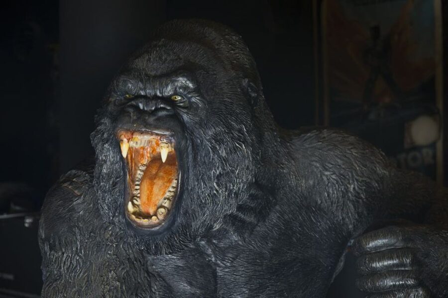 Genoa: FantaCinema Museum Entry Ticket - Is the $7 ticket good value?
