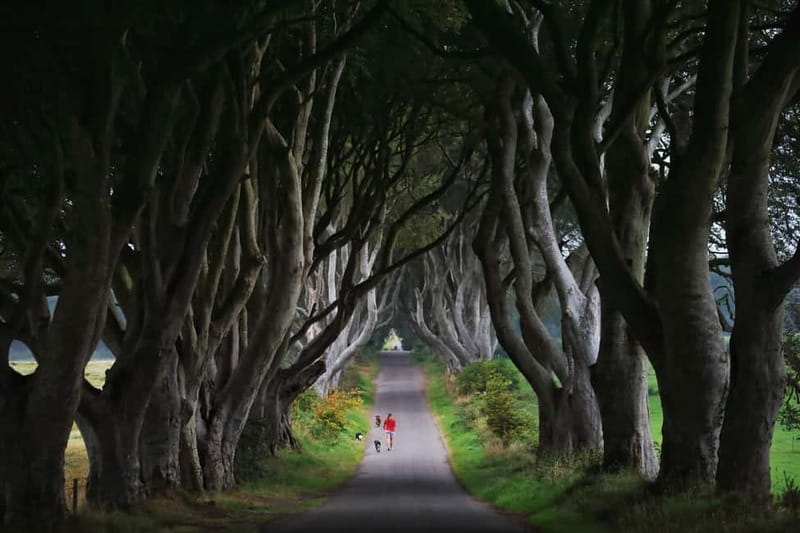 Giants causeway Irish castles & whiskey, Game of thrones - What $674 means for a group of four