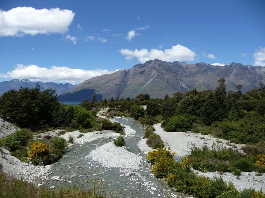 Glenorchy: 4WD Lord Of the Rings Half-Day Tour - Who should book this 4WD adventure?