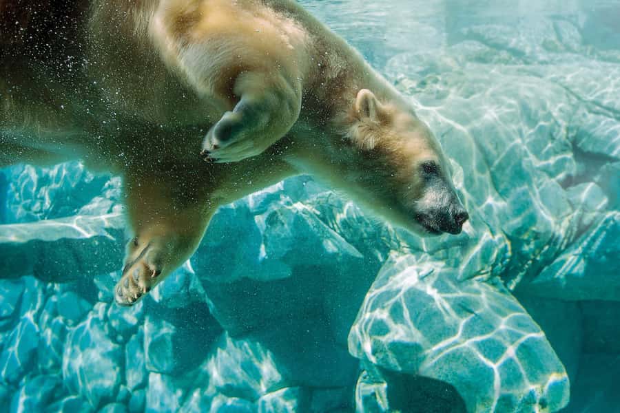 Gold Coast: Movie World, Sea World, Wet'n'Wild 14-Day Pass - Paradise Country is the gentler fourth park