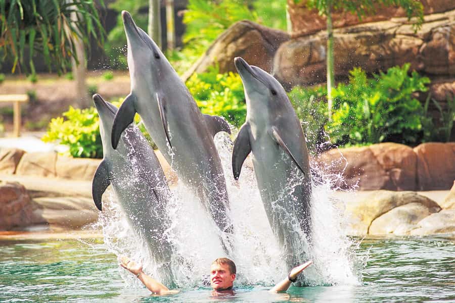 Gold Coast: Movie World, Sea World, Wet'n'Wild 14-Day Pass - Warner Bros. Movie World, from Batman to Oz