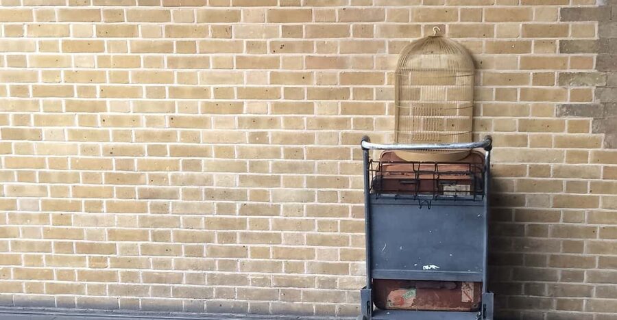 Harry Potter Private Tour of London in Spanish - Should you book this Harry Potter tour?