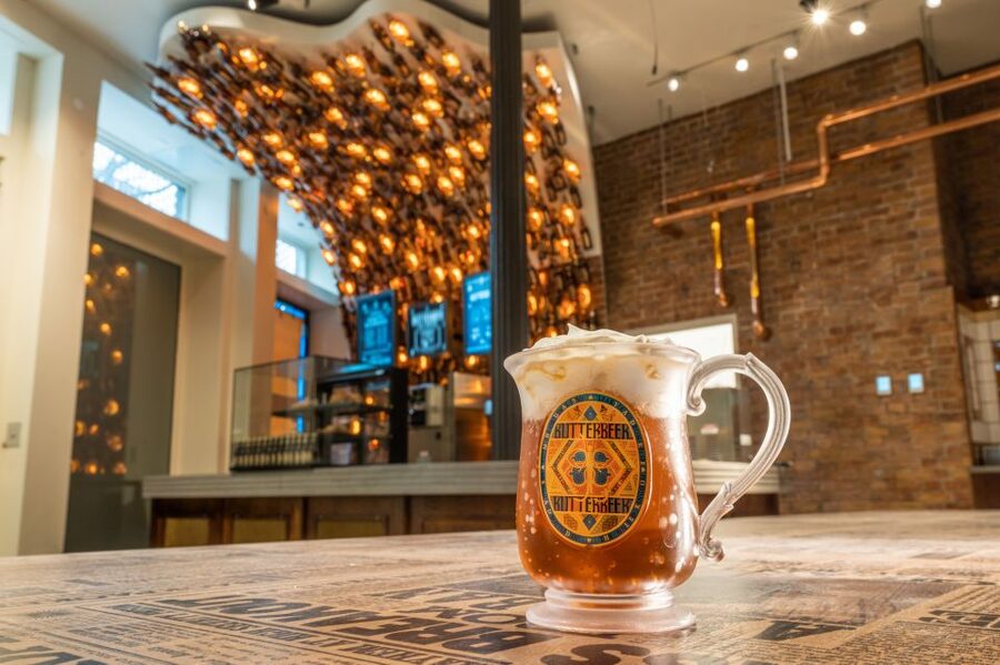 Harry Potter Shop New York: Magical Experiences - What the experience feels like for children and adults