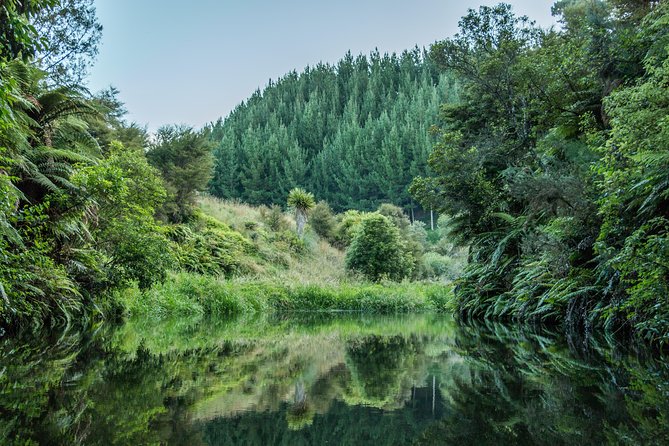 Hobbiton Day Tour from Rotorua with lunch at Hobbiton - How crowded and organized is the visit?