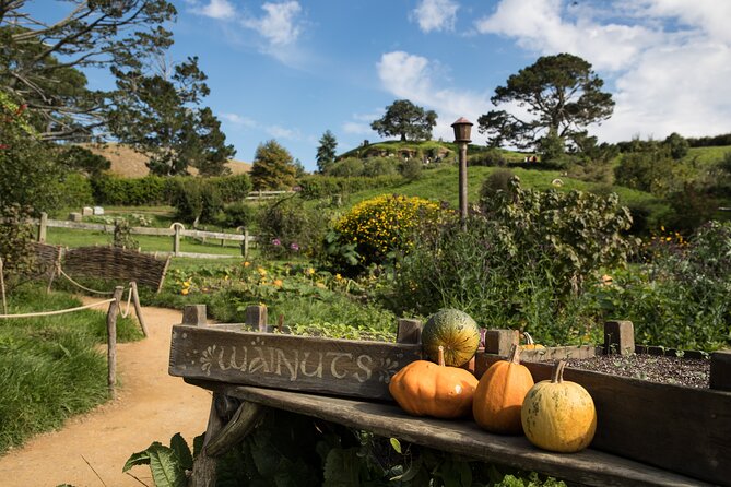 Hobbiton Day Tour from Rotorua with lunch at Hobbiton - Who should book this day tour?
