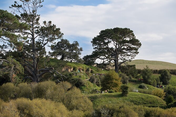 Hobbiton Day Tour from Rotorua with lunch at Hobbiton - Booking and cancellation advice