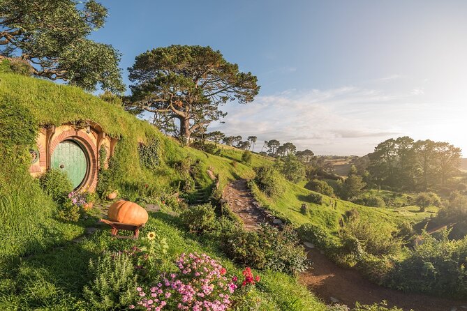 Hobbiton Movie Set Guided Day Tour with Lunch from Auckland - A picnic lunch among the Shire-style scenery