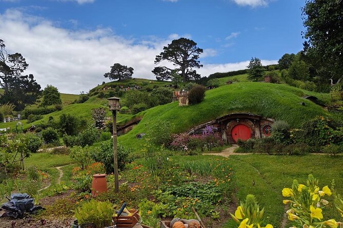 Hobbiton Movie Set Guided Day Tour with Lunch from Auckland - Is $204.79 good value?