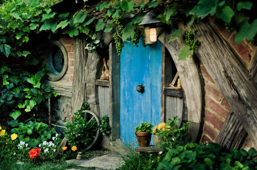 Hobbiton Movie Set & Rotorua Premium Day Tour from Auckland - Kiwi birds, carving, and Māori cultural context