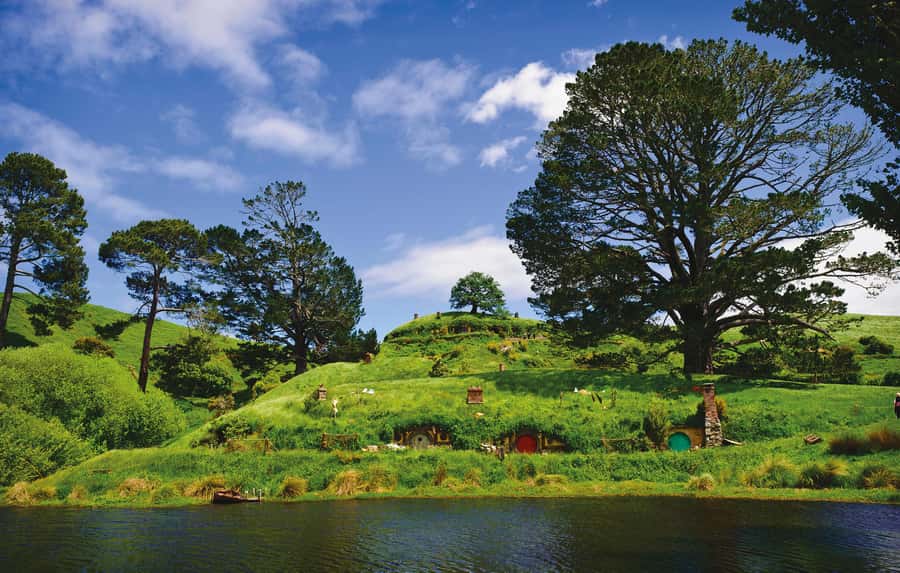 Hobbiton Movie Set & Te Puia Geothermal Valley Private Tour - The road to Rotorua and Te Puia