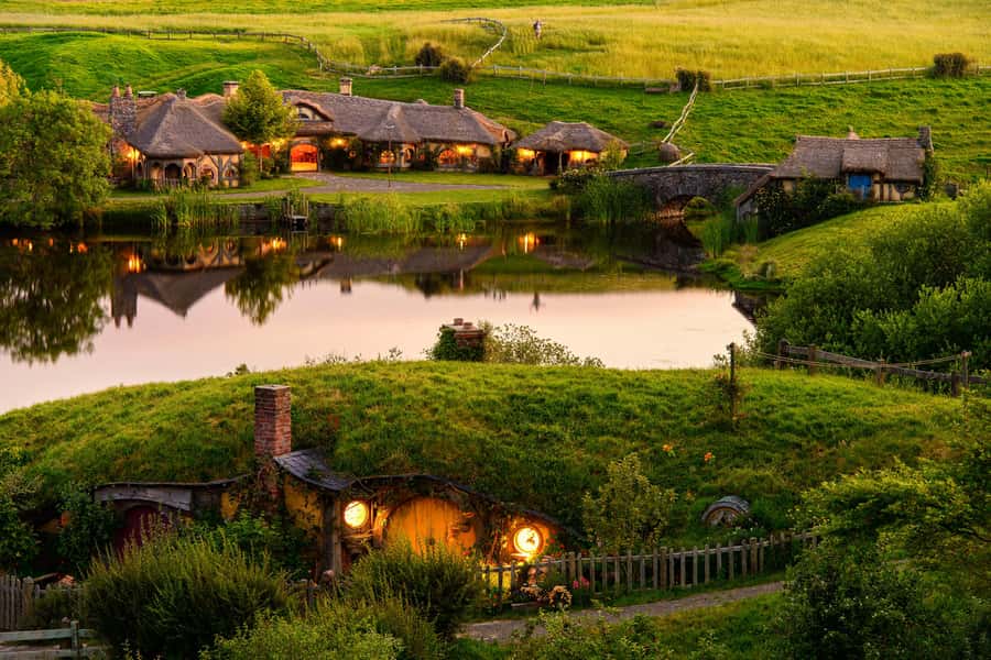 Hobbiton Movie Set & Te Puia Geothermal Valley Private Tour - Kiwi birds at Nga Manu Ahurei