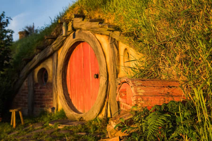 Hobbiton Movie Set & Te Puia Geothermal Valley Private Tour - Who should book this Auckland day trip?