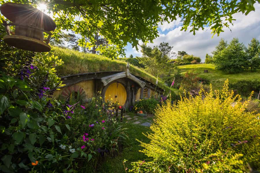 Hobbiton Movie Set Tour to Blue Springs and Waitomo caves - Lunch at Hobbiton, with one extra cost