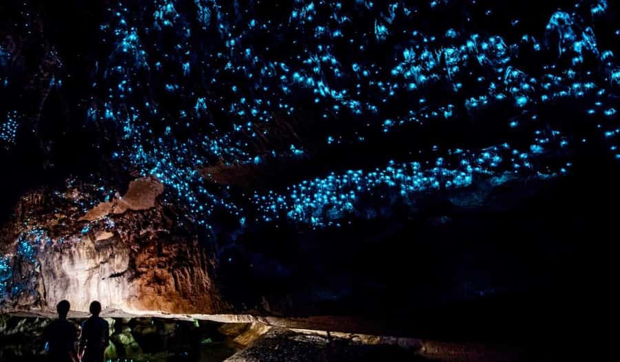 Hobbiton Movie Set Tour to Blue Springs and Waitomo caves - Is $508 a fair price?