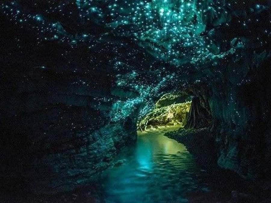 Hobbiton Movie Set Tour to Blue Springs and Waitomo caves - Guides, language, and the small-group feel