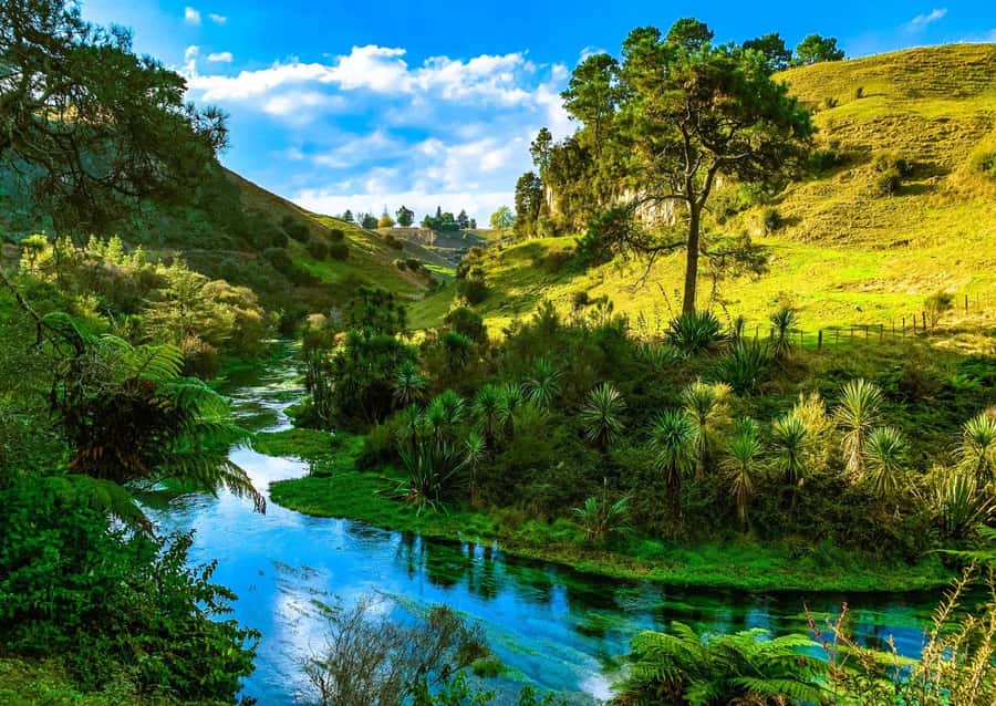 Hobbiton Movie Set Tour to Blue Springs and Waitomo caves - Who should book this day trip?