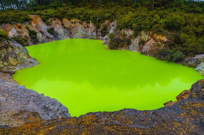 Hobbiton & Rotorua including Wai-O-Tapu - Small Group Tour from Auckland - Who will enjoy this day most