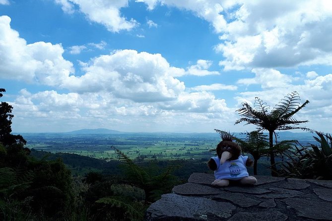 Hobbiton Transport & Tauranga Highlights Excursion from Tauranga - McLaren Falls gives the day some breathing room